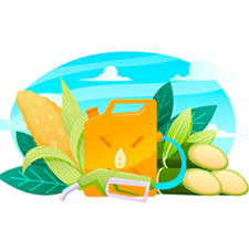 Sugar & Ethanol Plants